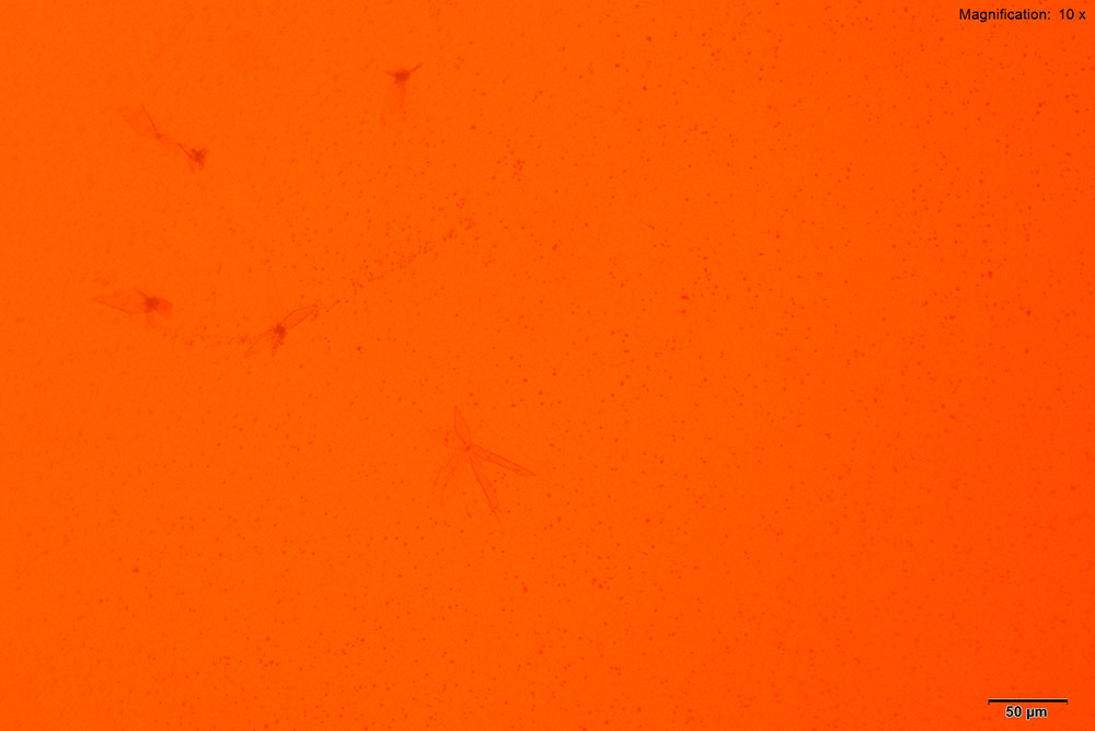 reagent 5