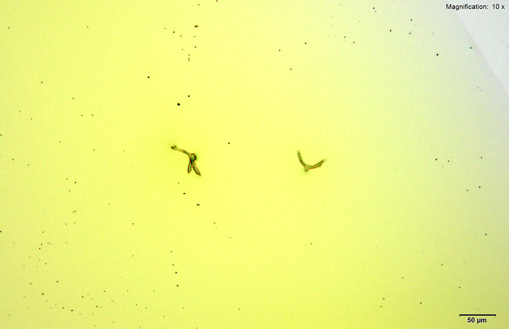 reagent 1
