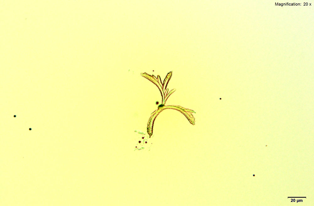 reagent 2