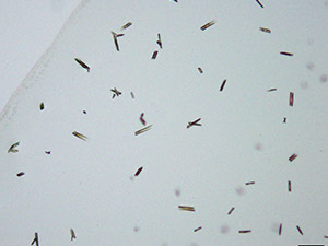 reagent thumbnail 5