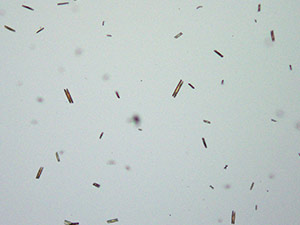 reagent thumbnail 6