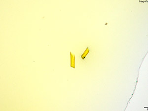 reagent thumbnail 8