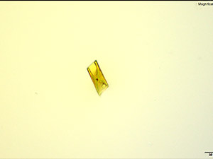 reagent thumbnail 9