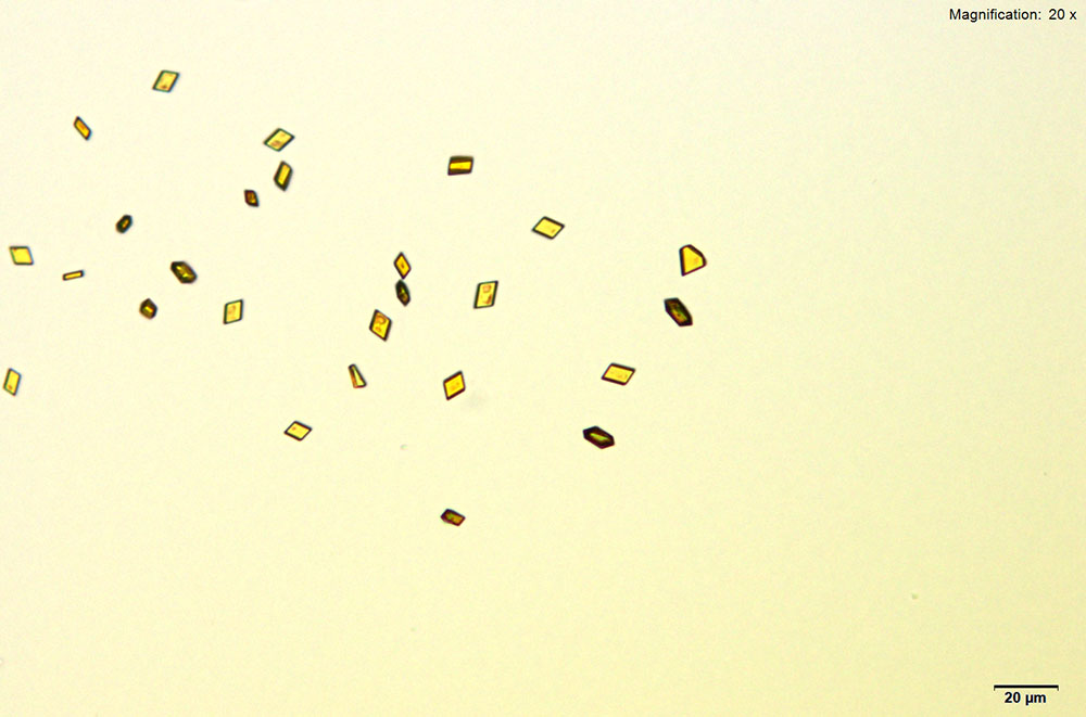 reagent 13
