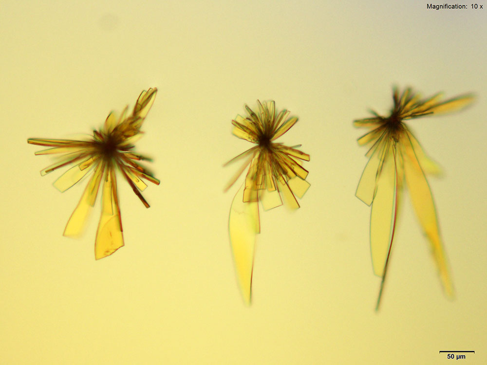 Butylone 5