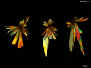 Butylone thumbnail 6