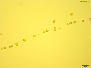 reagent thumbnail 14