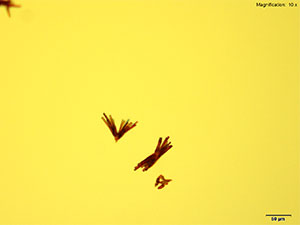 emc2 thumbnail 10