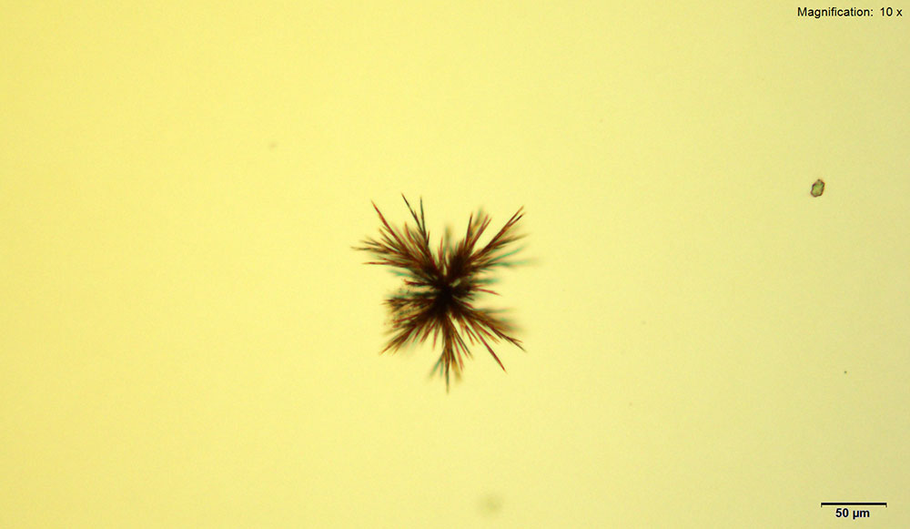 reagent 3