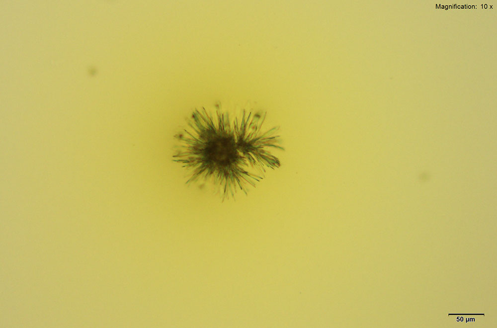 reagent 1