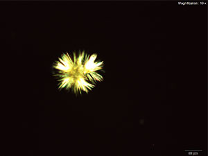 reagent thumbnail 3