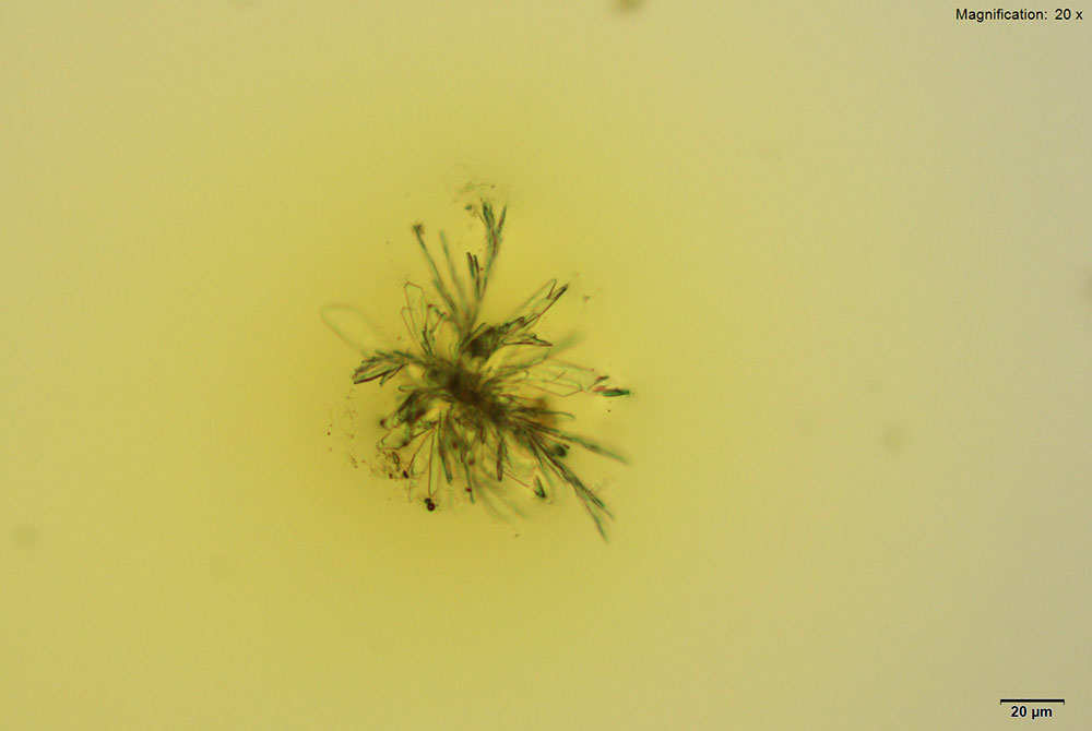 reagent 2