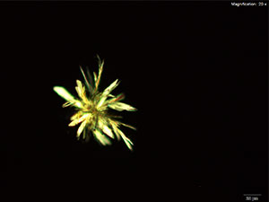 reagent thumbnail 4