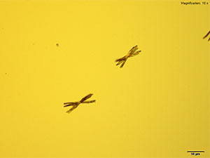 reagent thumbnail 8