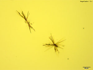 reagent thumbnail 1