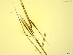 reagent thumbnail 2