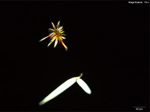 reagent thumbnail 6