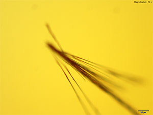 reagent thumbnail 8