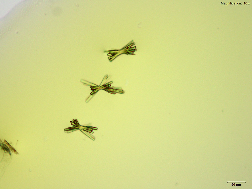 reagent 1