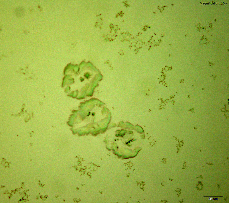 reagent 5