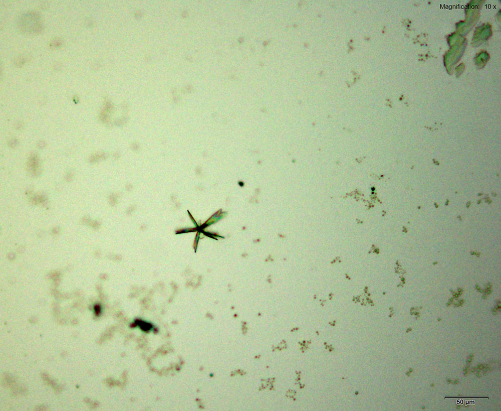 reagent 6