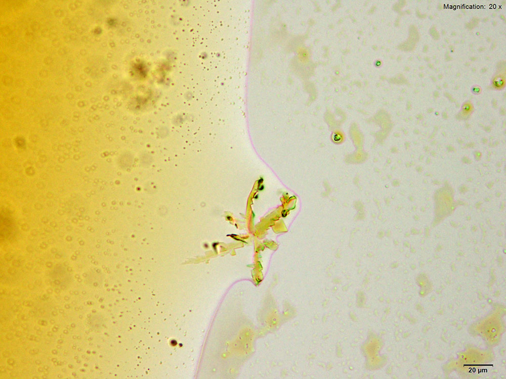 reagent 9
