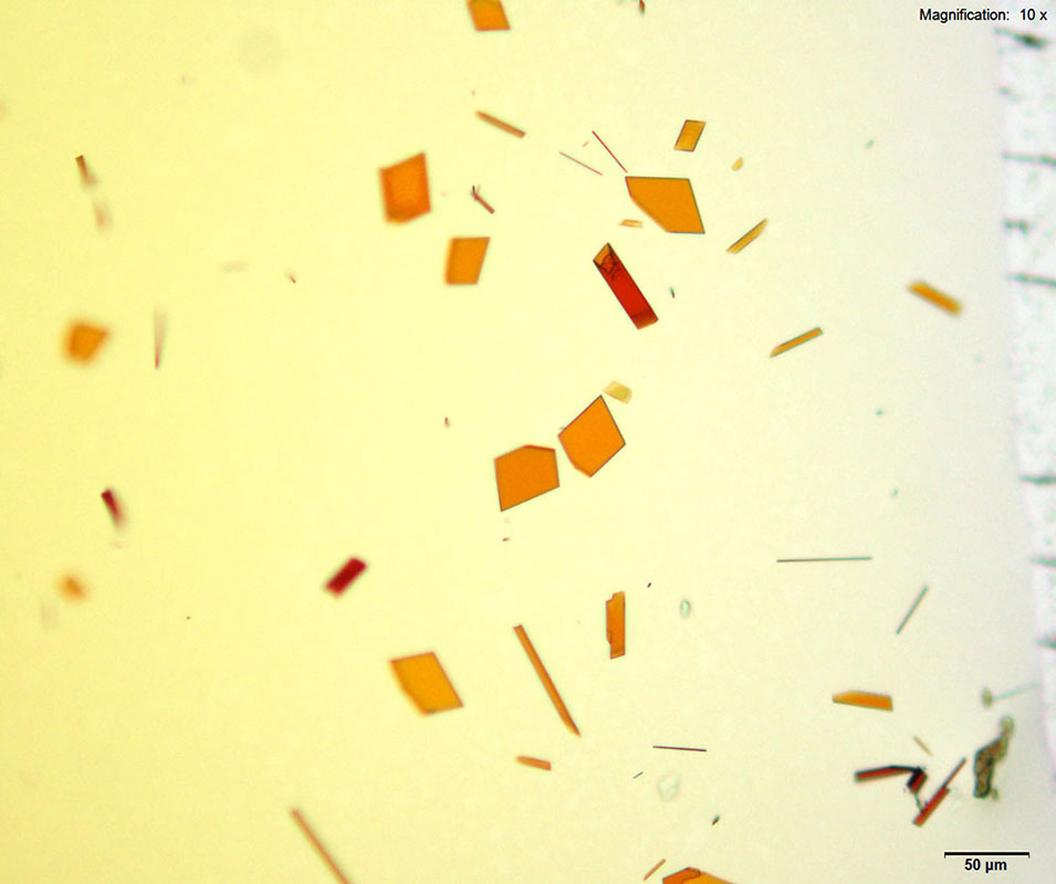 reagent 11