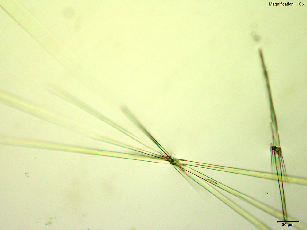 reagent 1