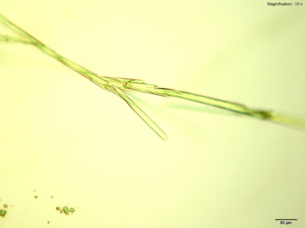 reagent 2