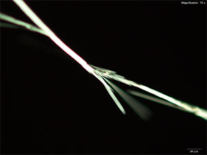 reagent thumbnail 4