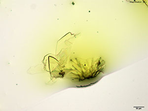 crystal thumbnail 1