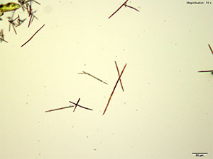 crystal thumbnail 3