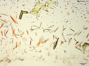 crystal thumbnail 7