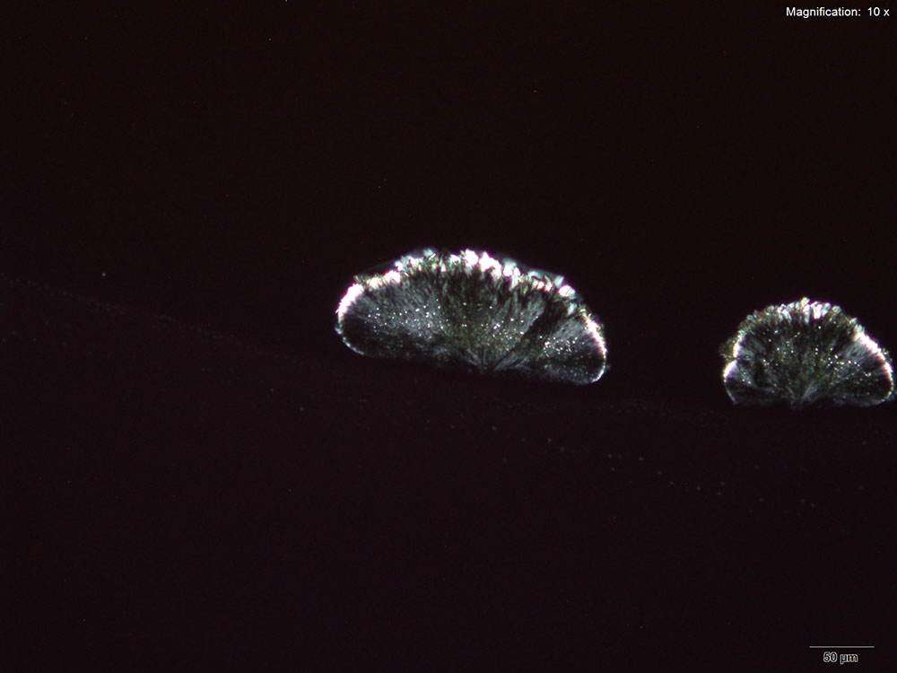 crystal 19