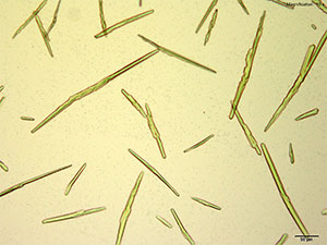 reagent thumbnail 6