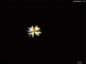 Methylone reagent 2 thumbnail