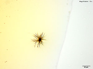 Gold Bromide reagent 1 thumbnail