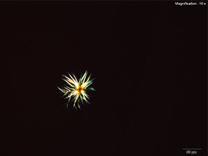 Gold Bromide reagent 3 thumbnail