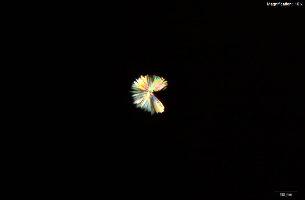 reagent image 3