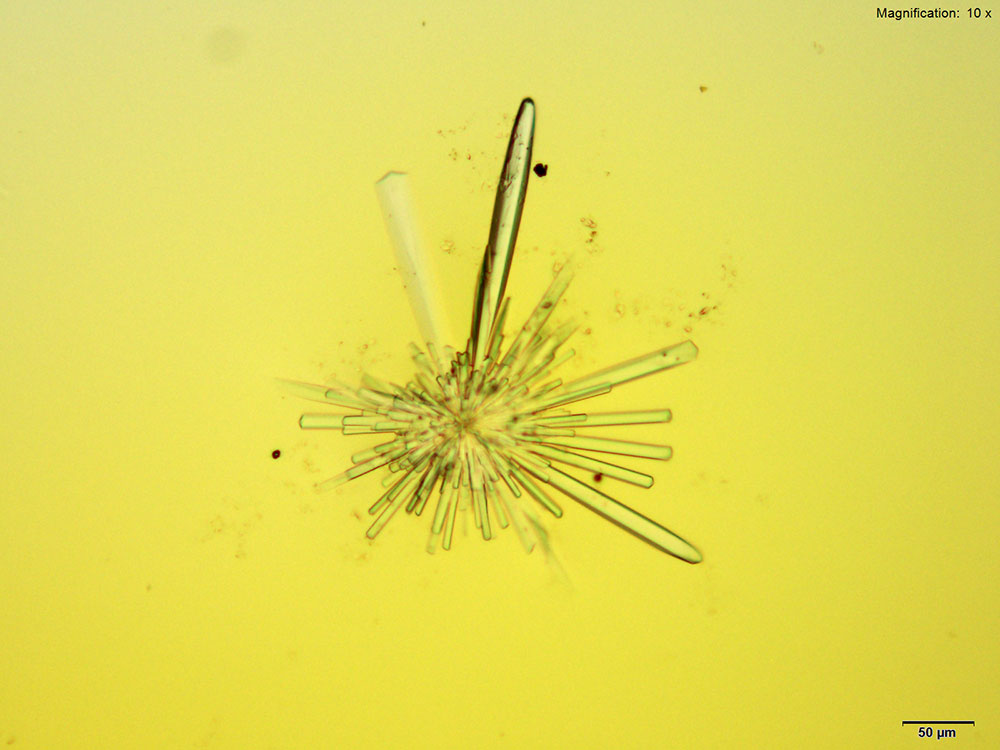 reagent image 2