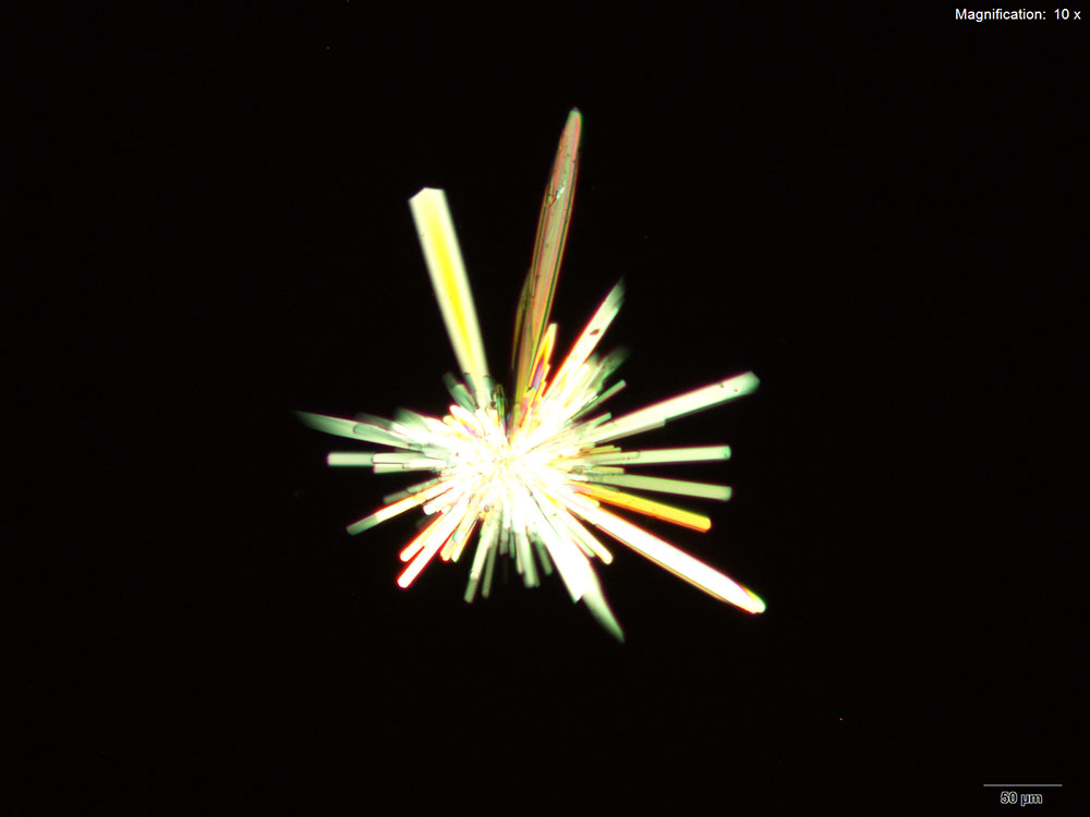 reagent image 4
