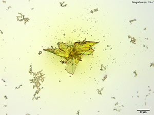 reagent image 1 thumbnail