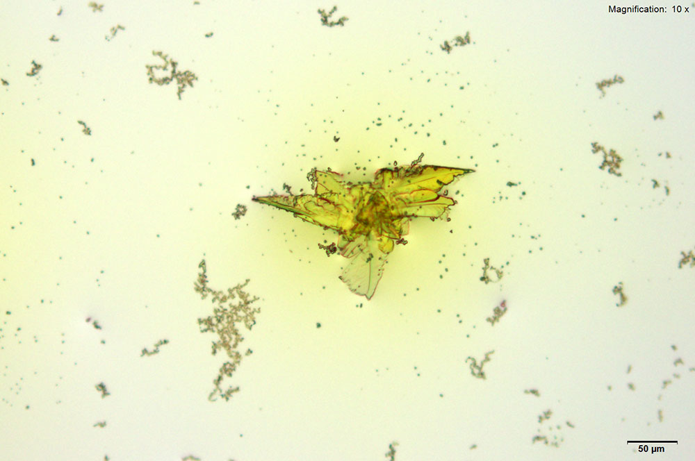 reagent image 1