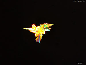 reagent image 3 thumbnail