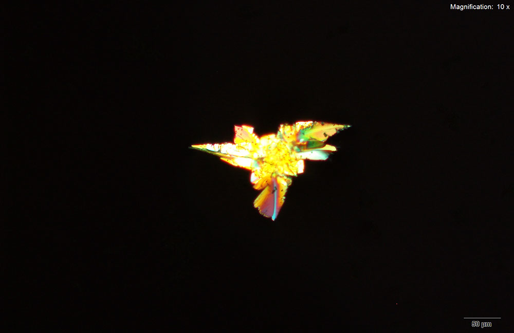 reagent image 3