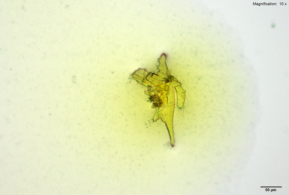 reagent image 2