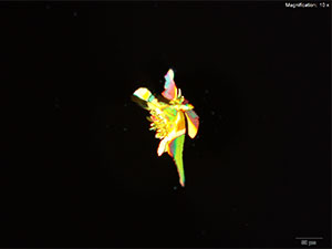 reagent image 4 thumbnail