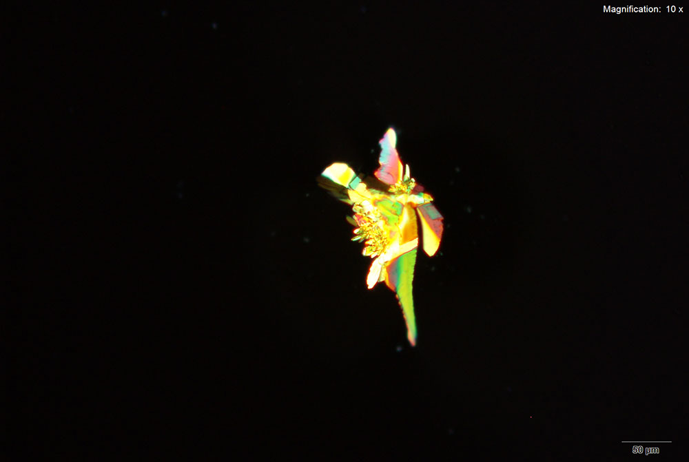 reagent image 4