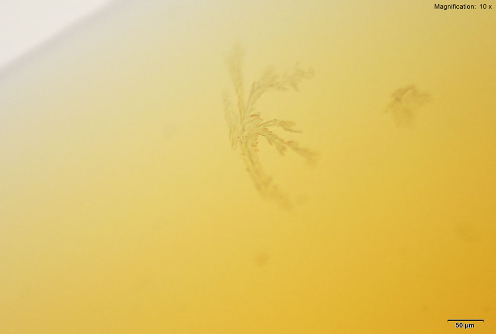 reagent 1