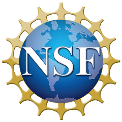 NSFlogo